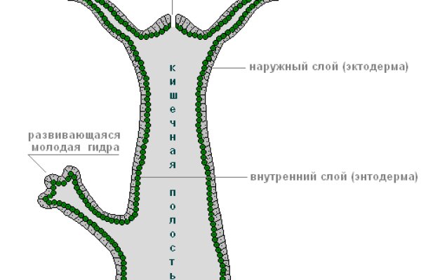 Кракен короткая ссылка