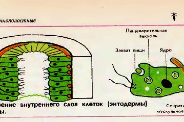 Кракен это наркозависимость