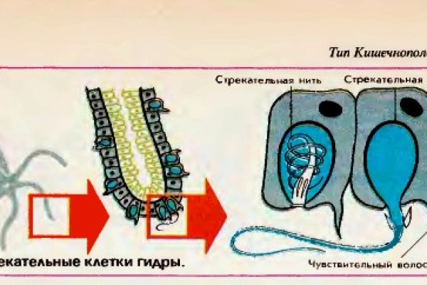 Тор браузер кракен